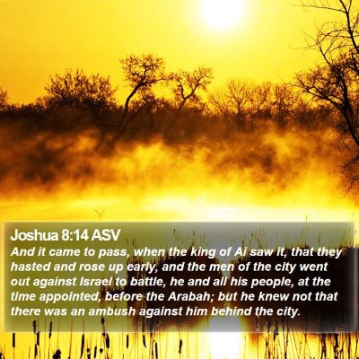 Joshua 8:14 ASV Bible Verse Image
