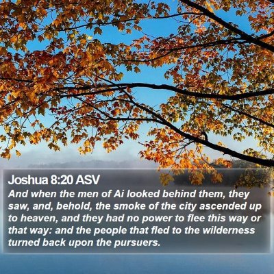 Joshua 8:20 ASV Bible Verse Image