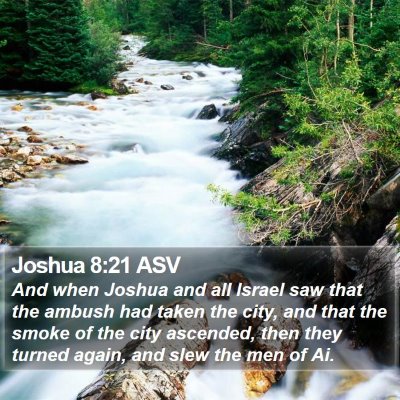 Joshua 8:21 ASV Bible Verse Image
