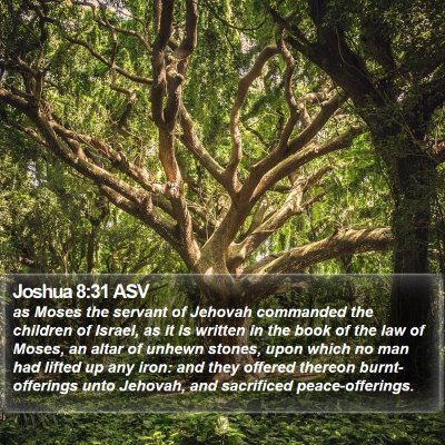 Joshua 8:31 ASV Bible Verse Image