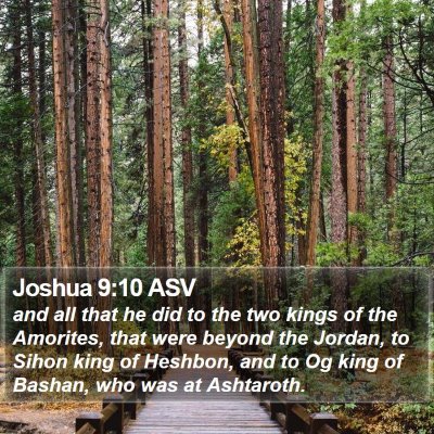 Joshua 9:10 ASV Bible Verse Image