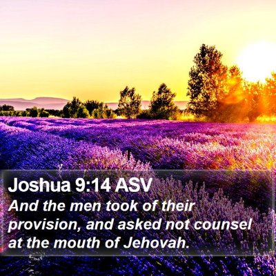 Joshua 9:14 ASV Bible Verse Image