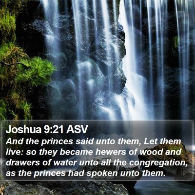 Joshua 9:21 ASV Bible Verse Image