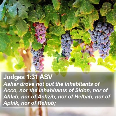 Judges 1:31 ASV Bible Verse Image