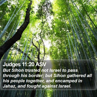 Judges 11:20 ASV Bible Verse Image