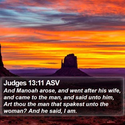 Judges 13:11 ASV Bible Verse Image