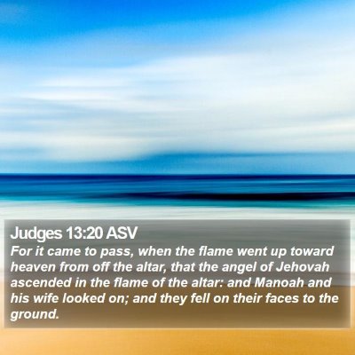 Judges 13:20 ASV Bible Verse Image