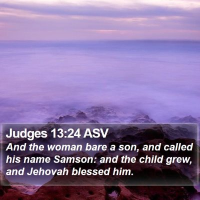 Judges 13:24 ASV Bible Verse Image