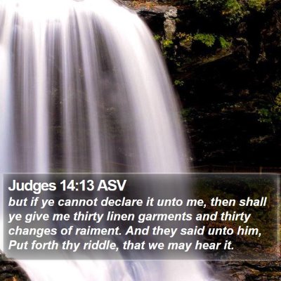 Judges 14:13 ASV Bible Verse Image