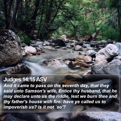 Judges 14:15 ASV Bible Verse Image