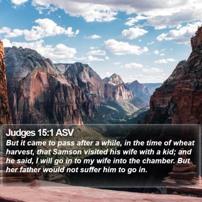 Judges 15:1 ASV Bible Verse Image