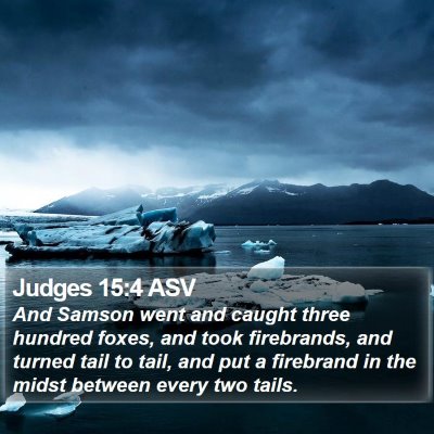 Judges 15:4 ASV Bible Verse Image