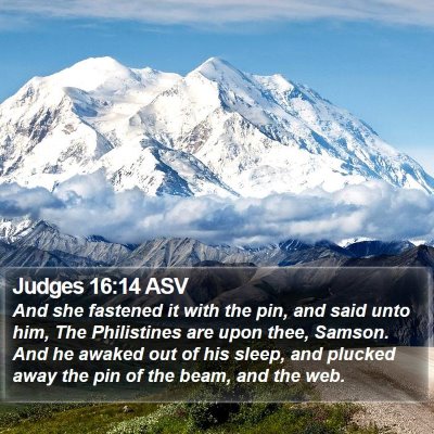 Judges 16:14 ASV Bible Verse Image