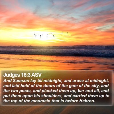 Judges 16:3 ASV Bible Verse Image