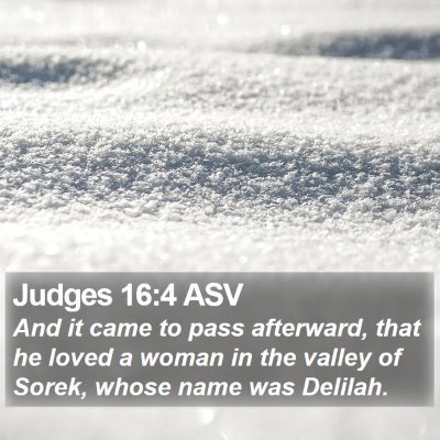 Judges 16:4 ASV Bible Verse Image