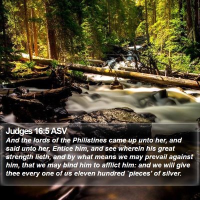 Judges 16:5 ASV Bible Verse Image