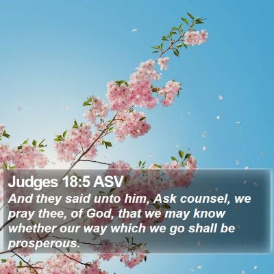 Judges 18:5 ASV Bible Verse Image