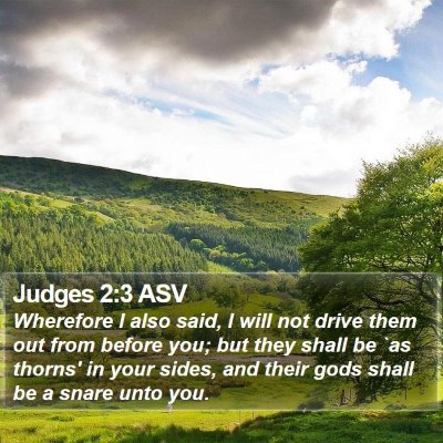 Judges 2:3 ASV Bible Verse Image