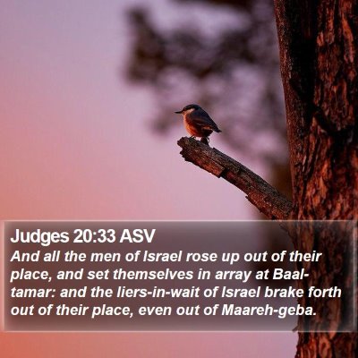 Judges 20:33 ASV Bible Verse Image