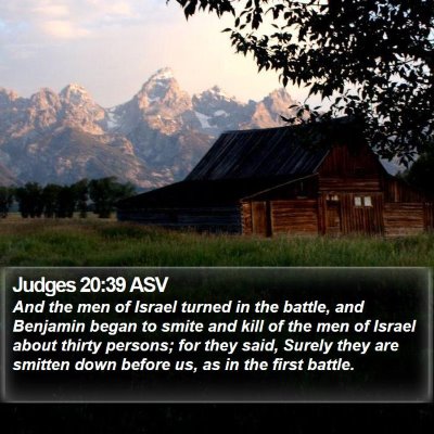Judges 20:39 ASV Bible Verse Image