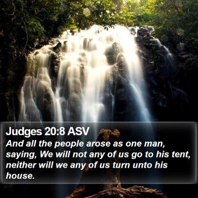 Judges 20:8 ASV Bible Verse Image