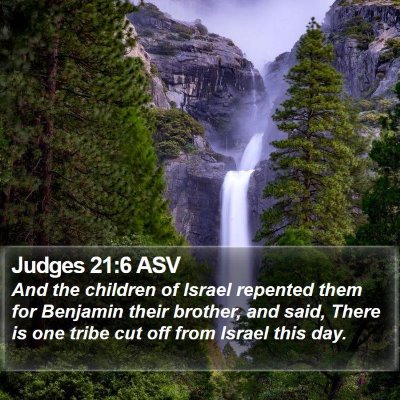 Judges 21:6 ASV Bible Verse Image