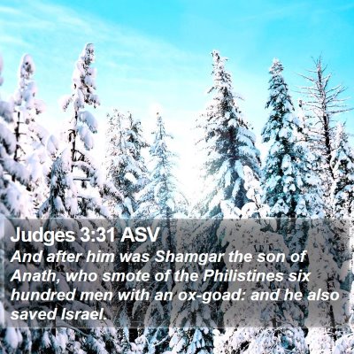 Judges 3:31 ASV Bible Verse Image