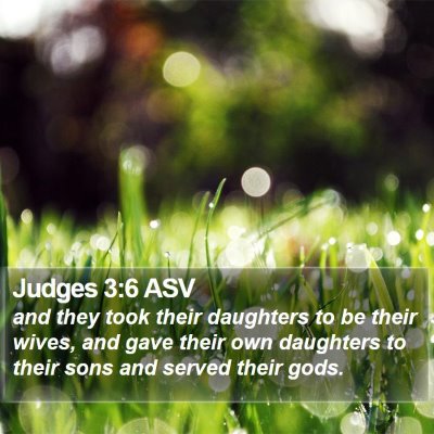 Judges 3:6 ASV Bible Verse Image