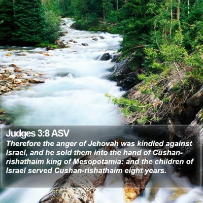 Judges 3:8 ASV Bible Verse Image