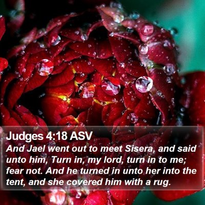 Judges 4:18 ASV Bible Verse Image