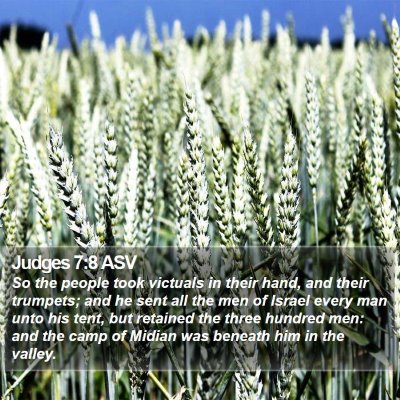 Judges 7:8 ASV Bible Verse Image