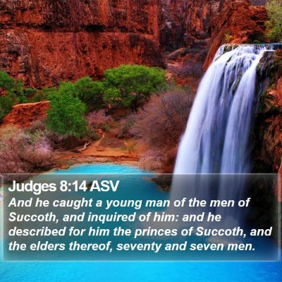 Judges 8:14 ASV Bible Verse Image