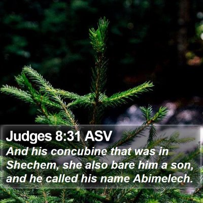 Judges 8:31 ASV Bible Verse Image