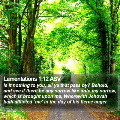 Lamentations 1:12 ASV Bible Verse Image