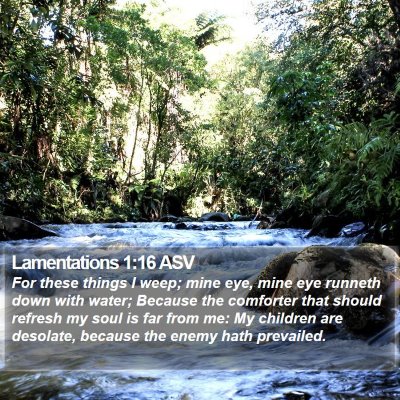 Lamentations 1:16 ASV Bible Verse Image