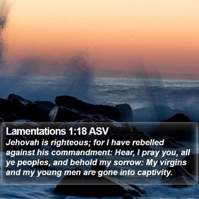 Lamentations 1:18 ASV Bible Verse Image