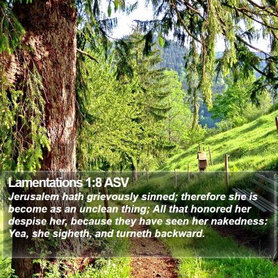 Lamentations 1:8 ASV Bible Verse Image