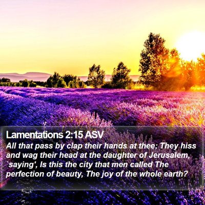 Lamentations 2:15 ASV Bible Verse Image