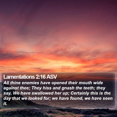 Lamentations 2:16 ASV Bible Verse Image