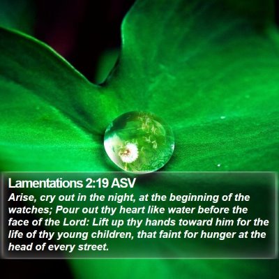 Lamentations 2:19 ASV Bible Verse Image