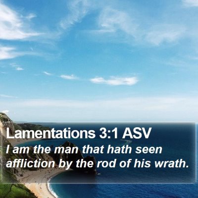 Lamentations 3:1 ASV Bible Verse Image