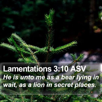 Lamentations 3:10 ASV Bible Verse Image