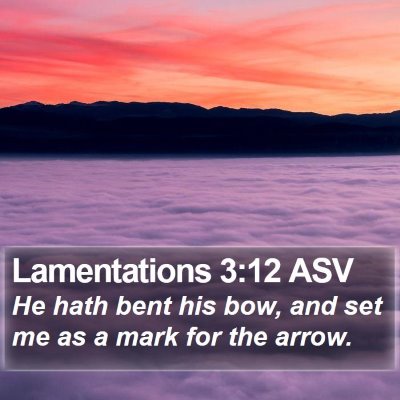 Lamentations 3:12 ASV Bible Verse Image