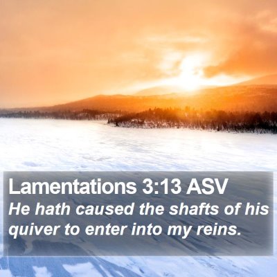 Lamentations 3:13 ASV Bible Verse Image