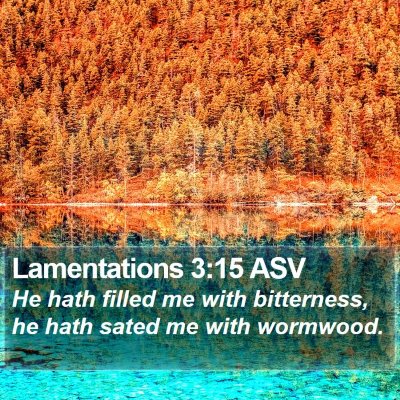 Lamentations 3:15 ASV Bible Verse Image
