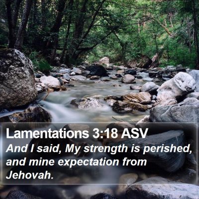 Lamentations 3:18 ASV Bible Verse Image