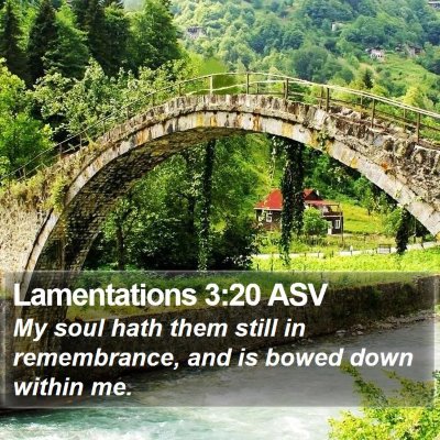 Lamentations 3:20 ASV Bible Verse Image