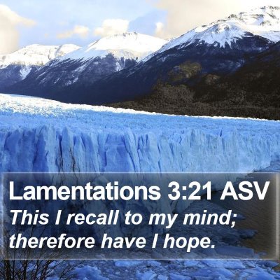Lamentations 3:21 ASV Bible Verse Image