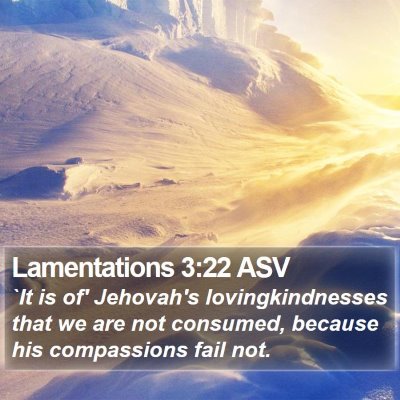 Lamentations 3:22 ASV Bible Verse Image