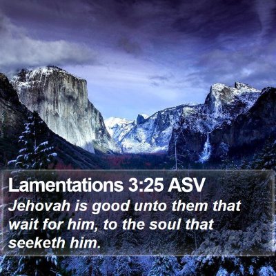 Lamentations 3:25 ASV Bible Verse Image